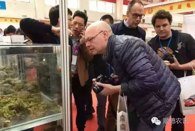 “世界名龜”主題2016年世界名龜科普養殖交流展(圖2) 按此在新窗口瀏覽圖片