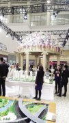 天津2016春季房交會:寄予厚望現場精彩紛呈