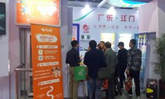 2016中國電商博覽會，江門盈信創展電商獲贊