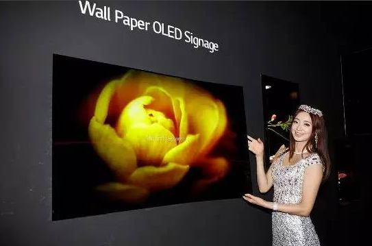 IFC展會DLP及OLED表現亮眼 LED感到威脅了嗎(圖7)