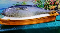 “海鮮盛宴”將在廈門舉行 國際海鮮展