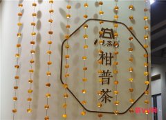 2017廣州春季茶博會，茶VV小編與你直擊茶飲新風尚！