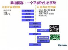 瑞典拜奧益生菌 第17屆CBME中國孕嬰童展、童裝展